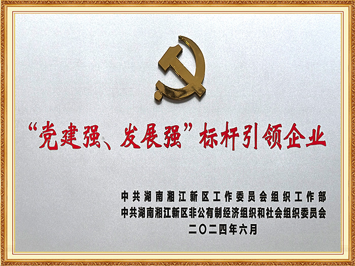 党建强、发展强、标杆引领企业（湘江新区）
